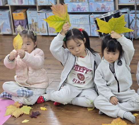 떨어지는 낙엽을 관찰해보아요